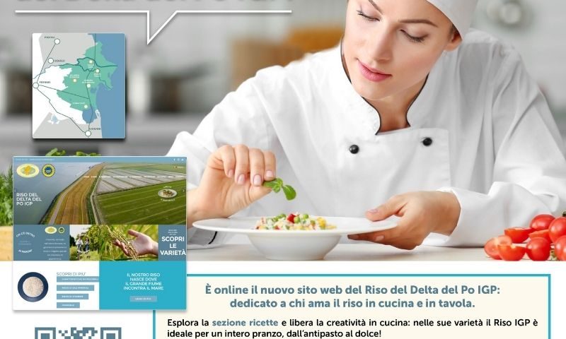 nuovo sito web per riso delta del po igp realizzato da sinettica agenzia di comunicazione e marketing imola